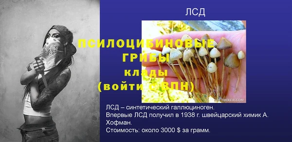 амф Кодинск